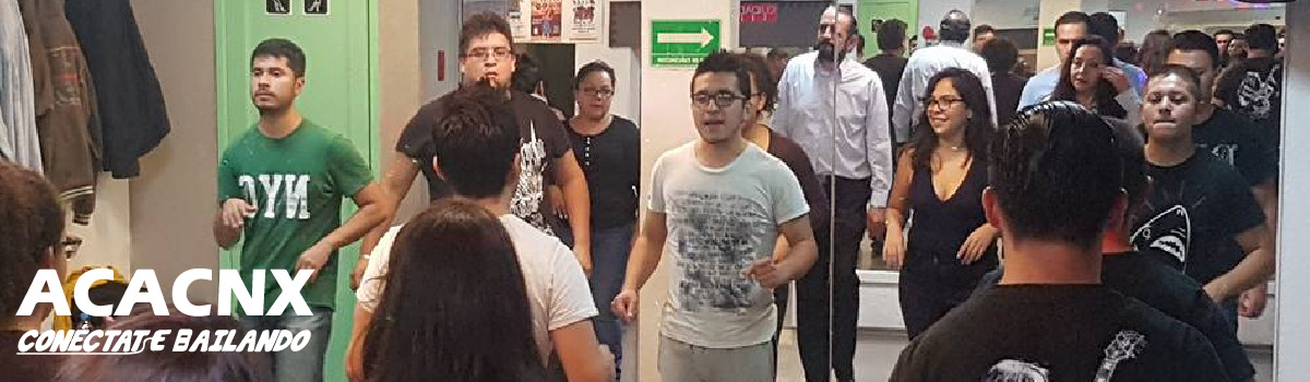 clases de bachata para principiantes economicas